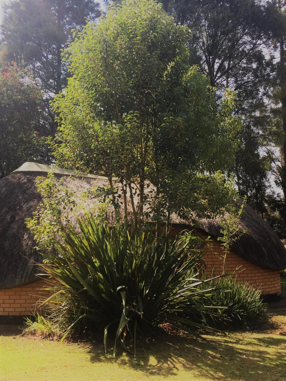 גרסקופ Summit Lodge מראה חיצוני תמונה
